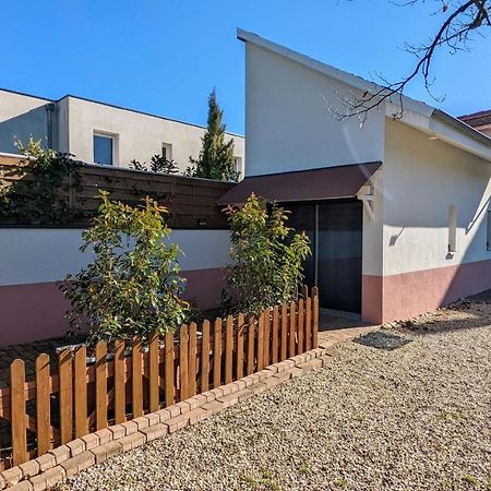 Studio Mezzanine Chez Papou, Ville Et Foret Strasbourg Eksteriør billede