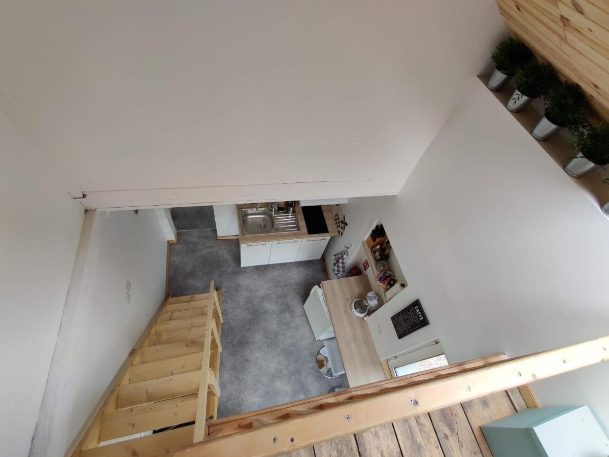 Studio Mezzanine Chez Papou, Ville Et Foret Strasbourg Eksteriør billede