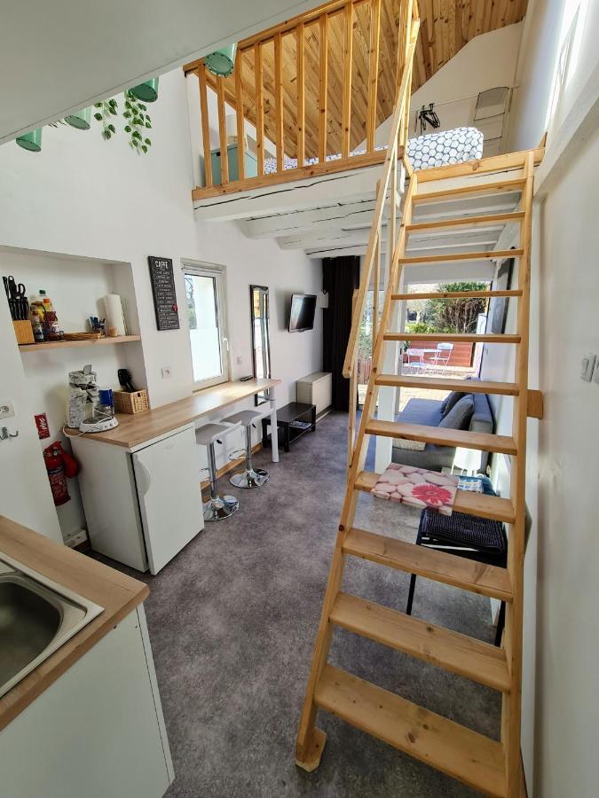 Studio Mezzanine Chez Papou, Ville Et Foret Strasbourg Eksteriør billede