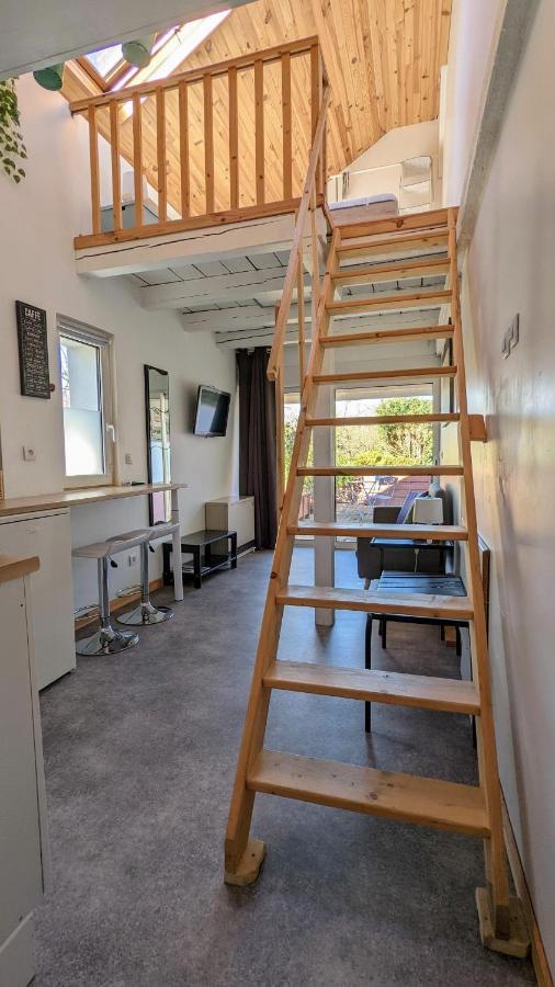 Studio Mezzanine Chez Papou, Ville Et Foret Strasbourg Eksteriør billede