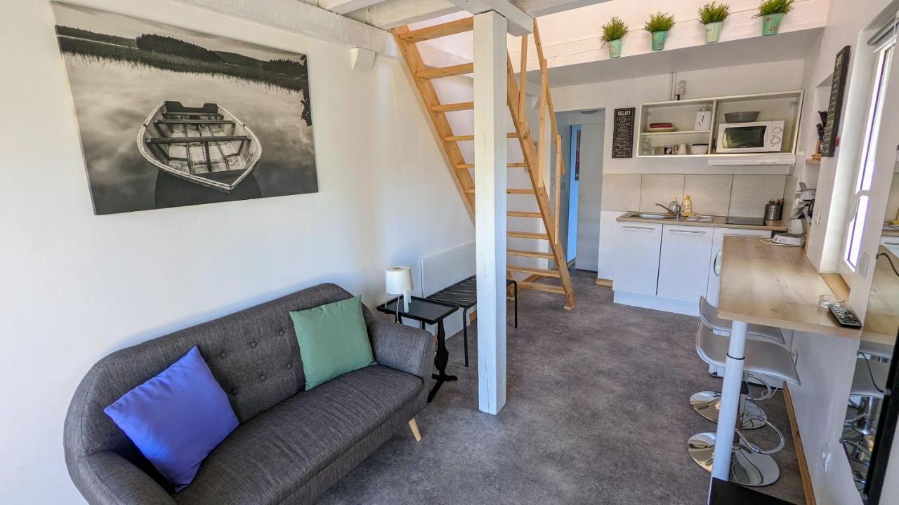 Studio Mezzanine Chez Papou, Ville Et Foret Strasbourg Eksteriør billede