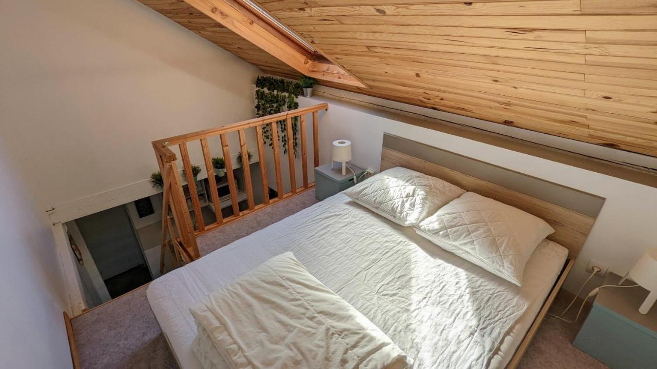 Studio Mezzanine Chez Papou, Ville Et Foret Strasbourg Eksteriør billede